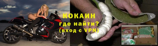 сатива Нягань