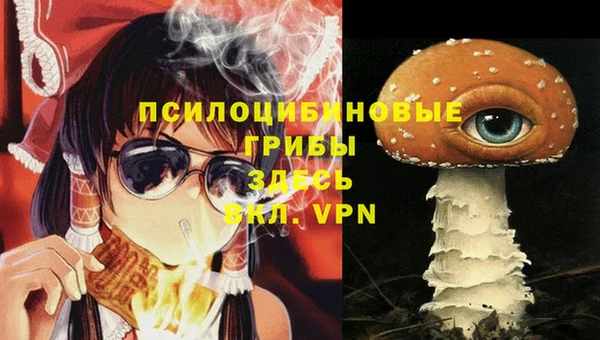 сатива Нягань