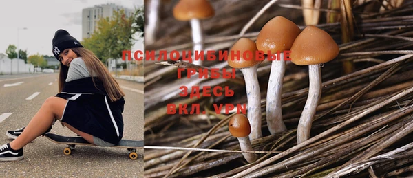PSILOCYBIN Осинники