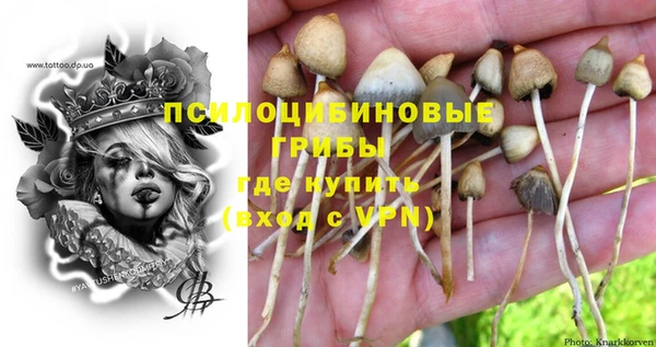хмурый Осташков