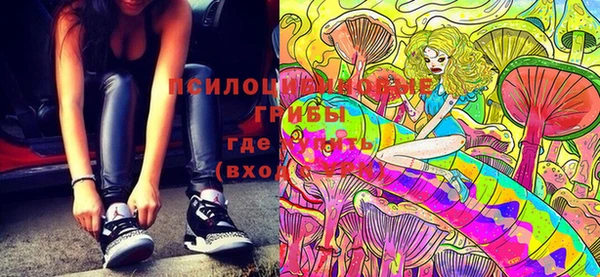 марки lsd Нязепетровск