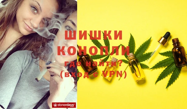 сатива Нягань