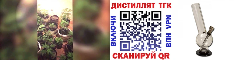 ТГК гашишное масло Нестеров