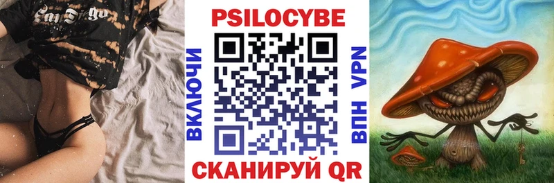 площадка клад  купить наркотики цена  Нестеров  Псилоцибиновые грибы MAGIC MUSHROOMS 